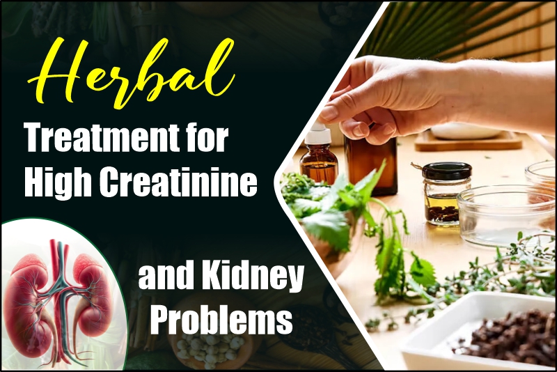 Herbal Treatment for High Creatinine and Kidney Problems